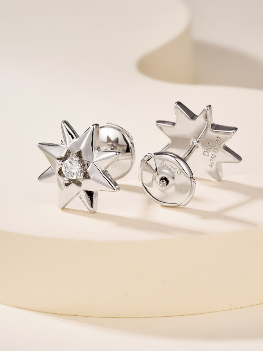 Dior Star Stud Earrings
