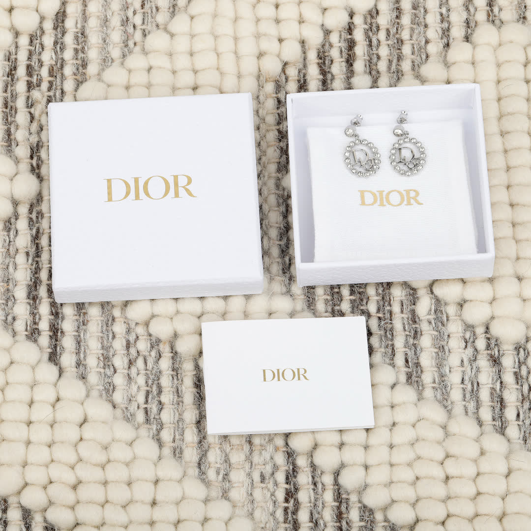 Dior Silver Earrings Dior Silver Earrings