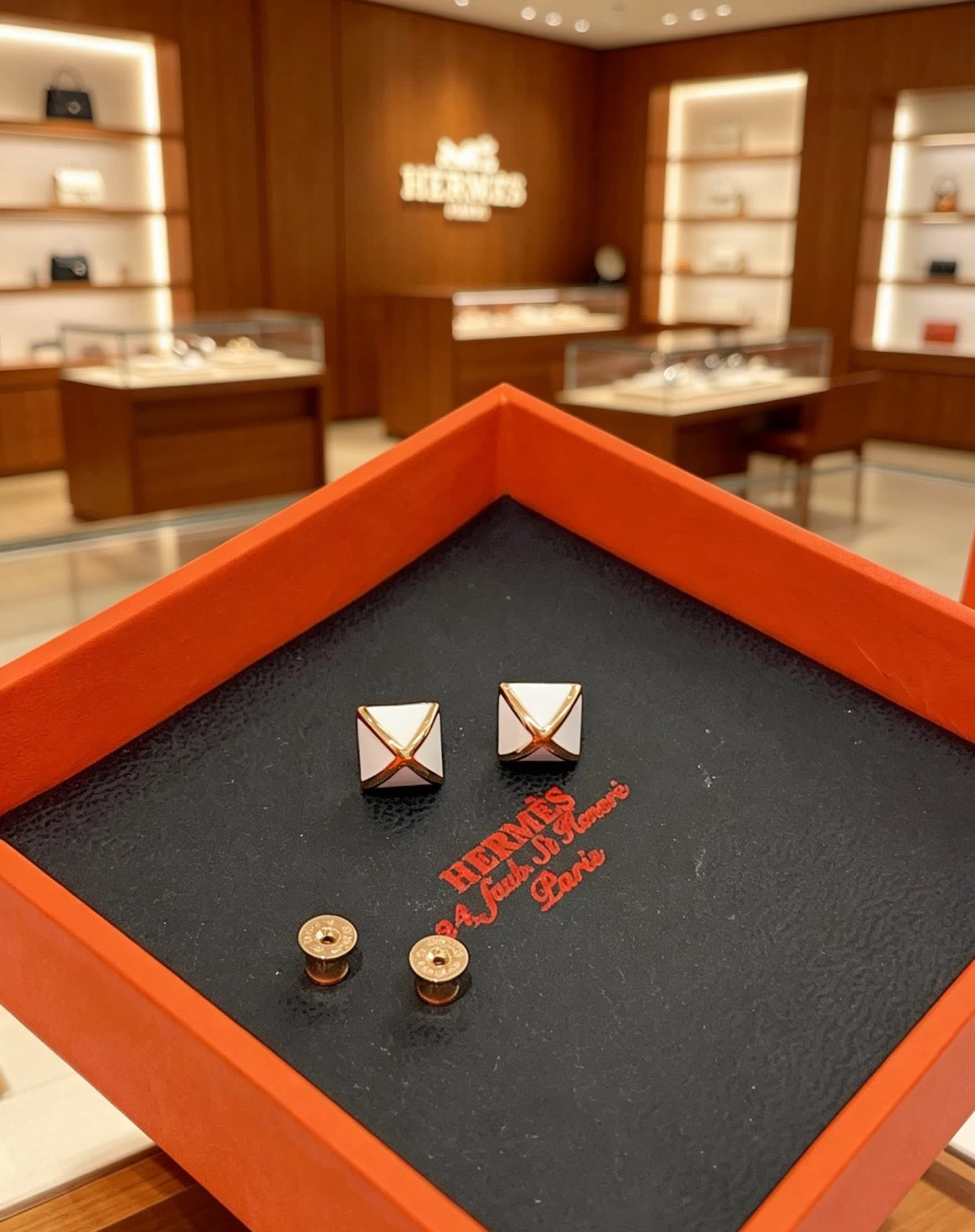 Hermes Hermès Paris Earrings