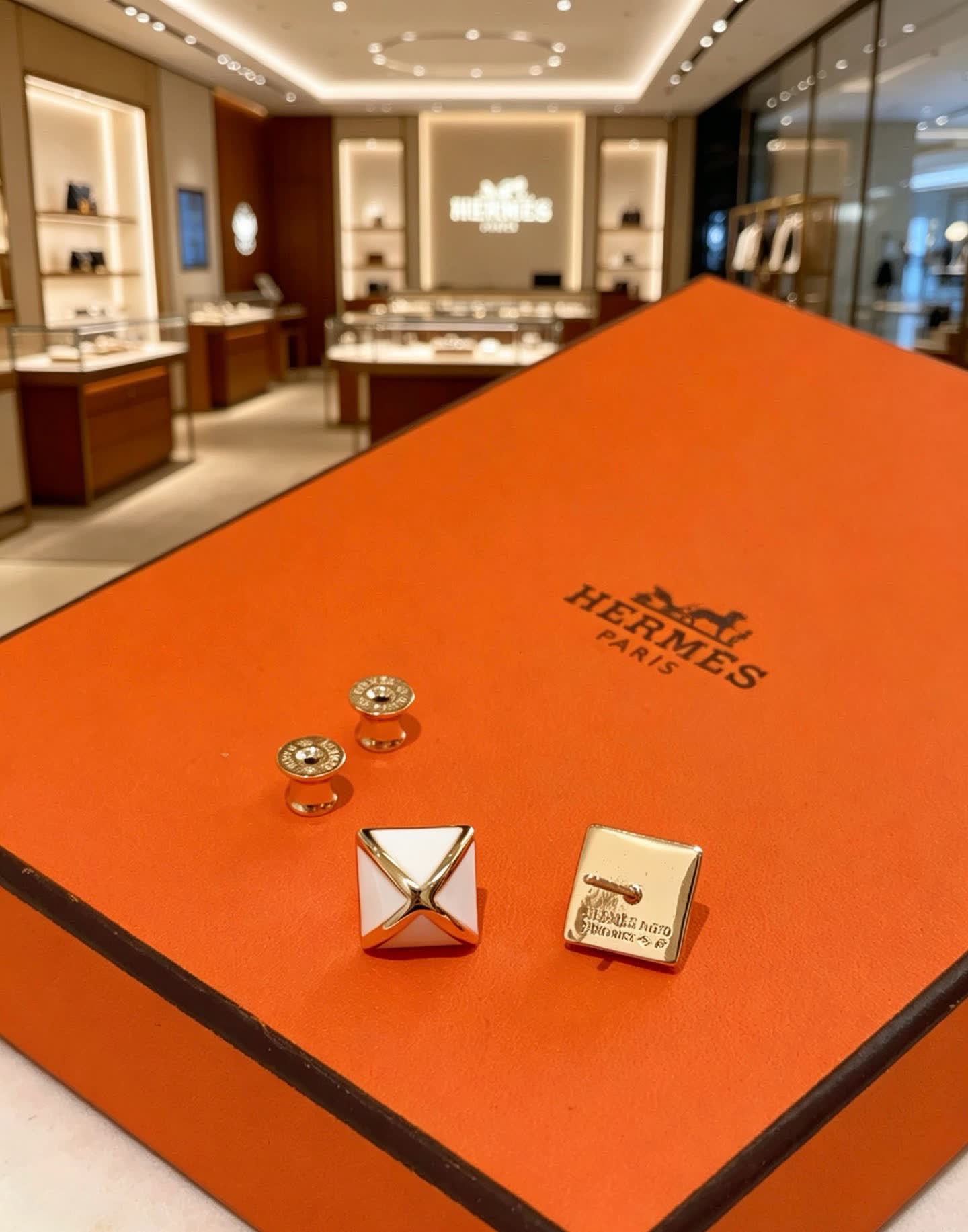 Hermes Hermès Paris Earrings
