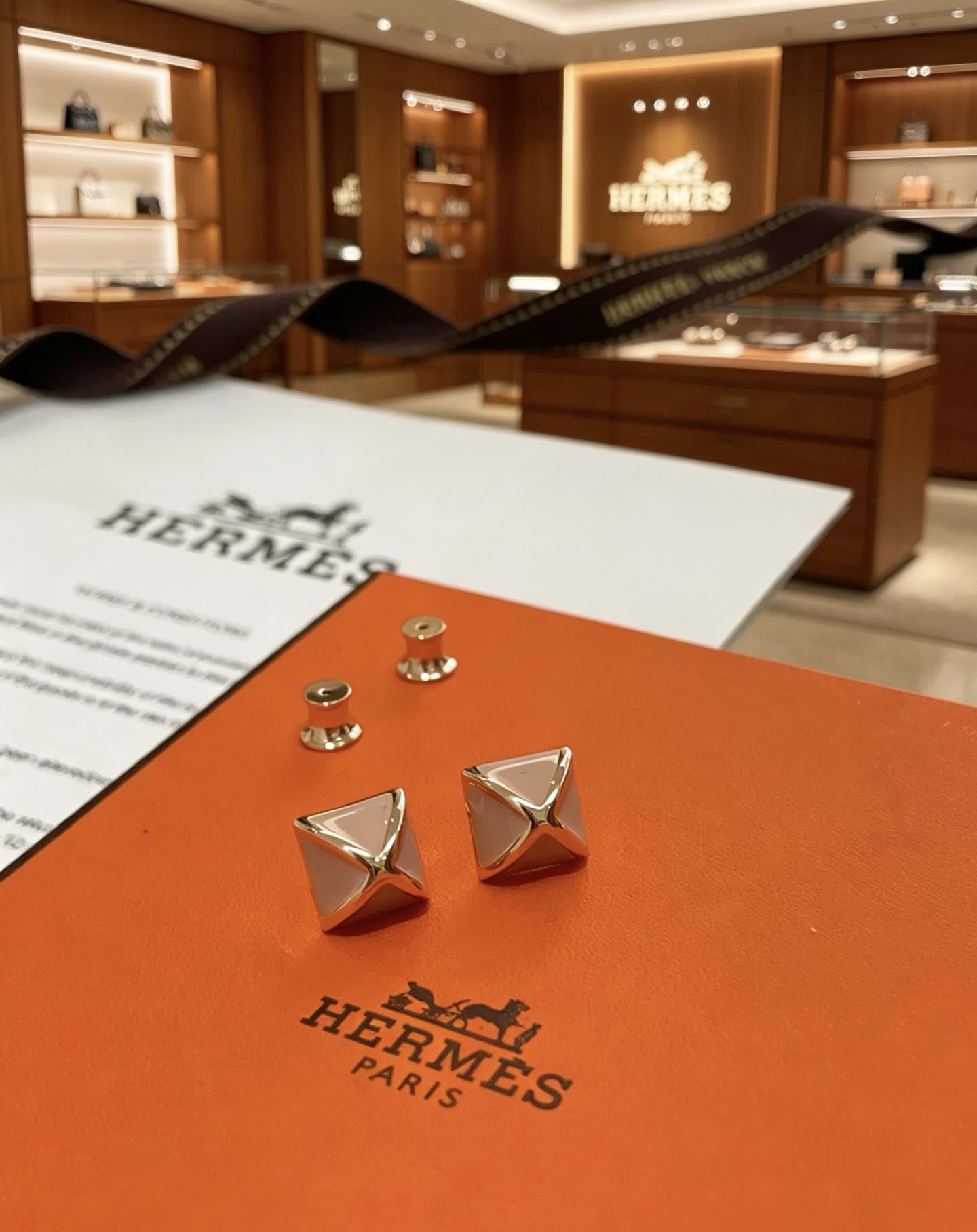 Hermes Hermès Paris Earrings