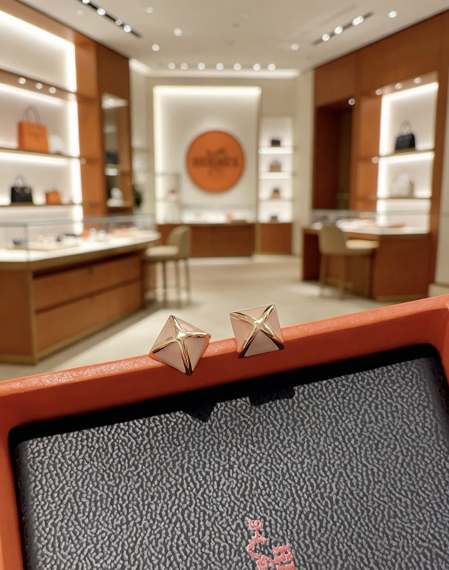 Hermes Hermès Paris Earrings