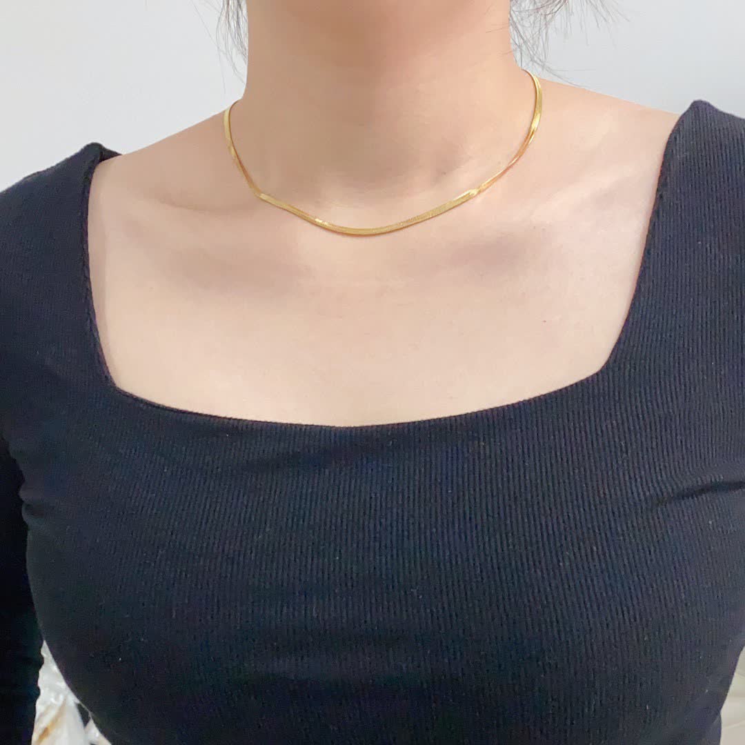 Celine Elegant Double Layered Gold and Silver Necklace