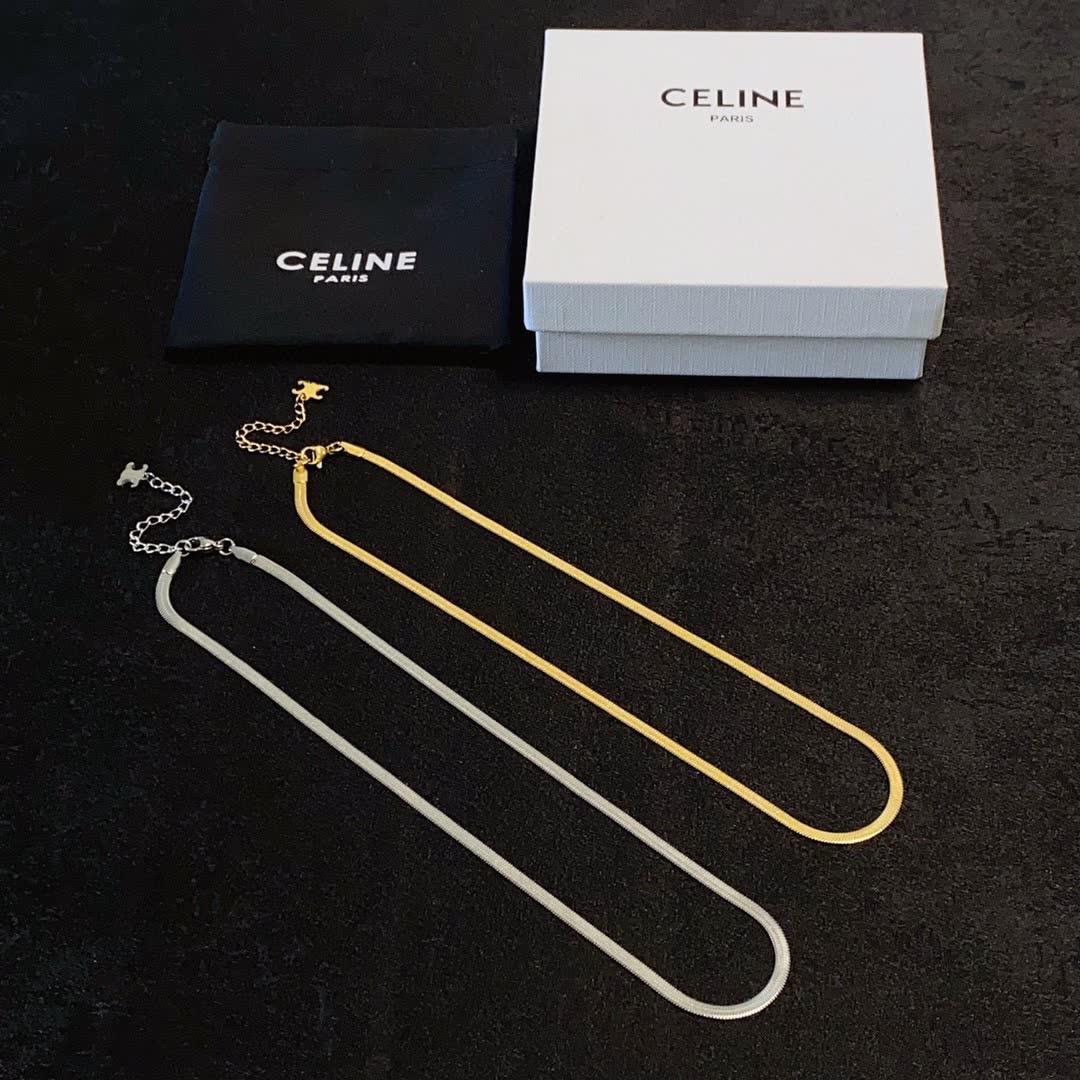 Celine Elegant Double Layered Gold and Silver Necklace