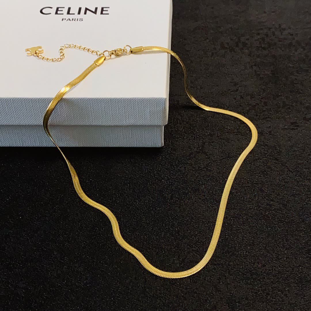 Celine Elegant Double Layered Gold and Silver Necklace