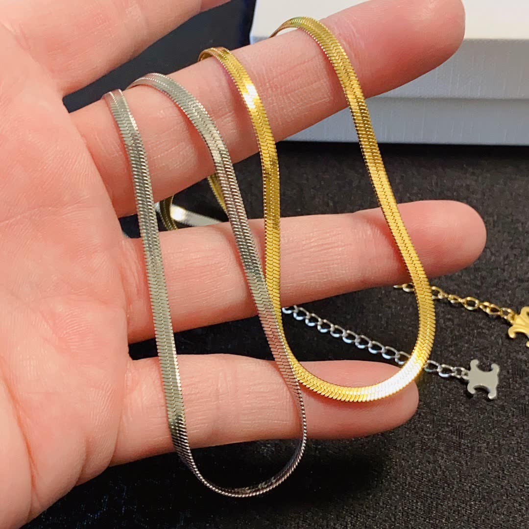 Celine Elegant Double Layered Gold and Silver Necklace