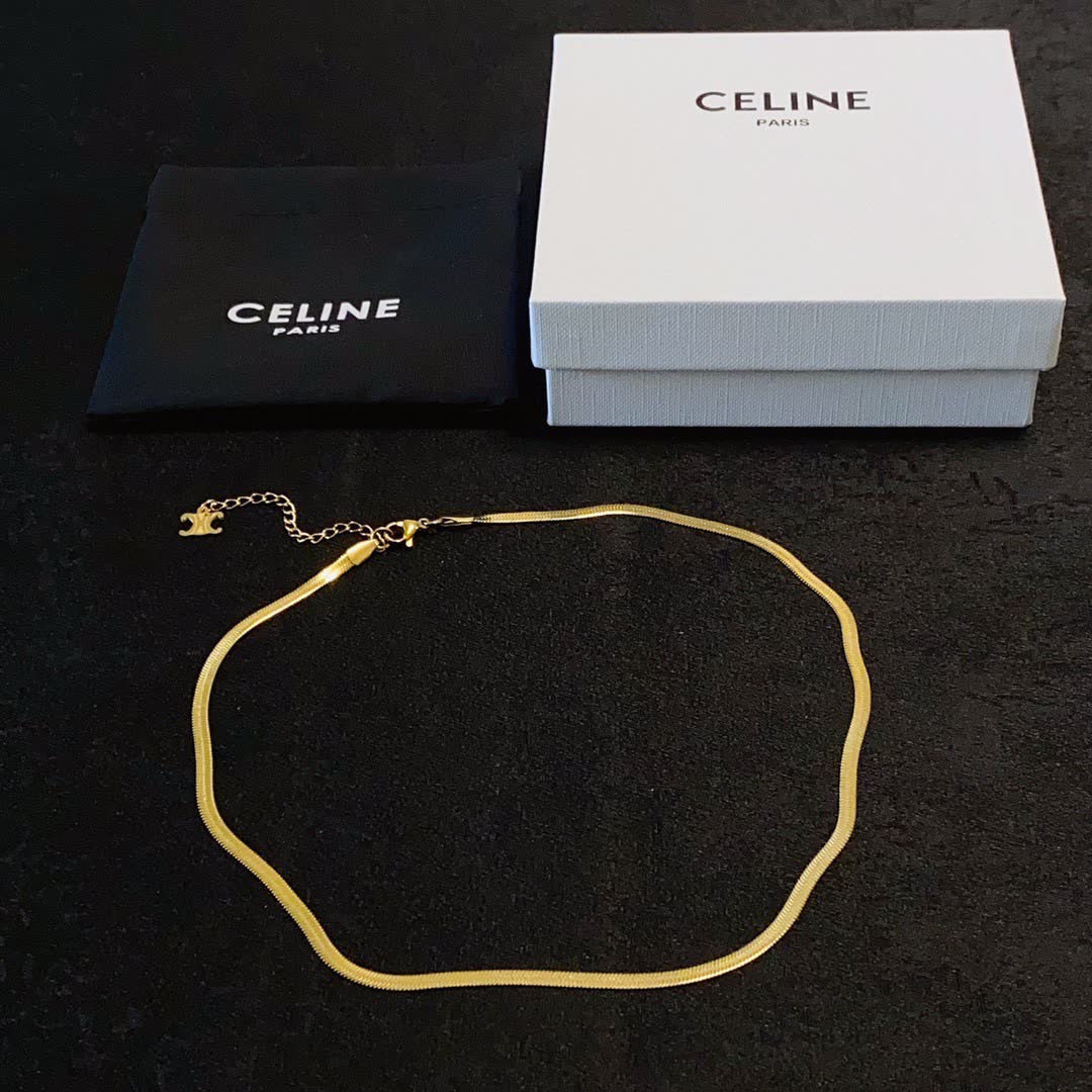 Celine Elegant Double Layered Gold and Silver Necklace