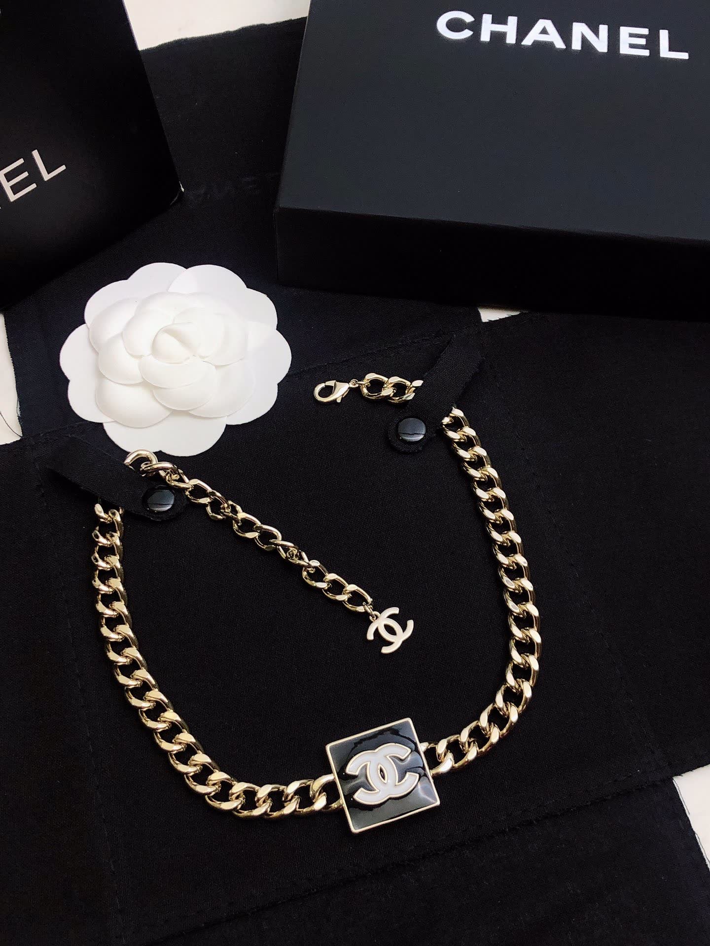 Chanel Necklace with CC Logo and Chain Design