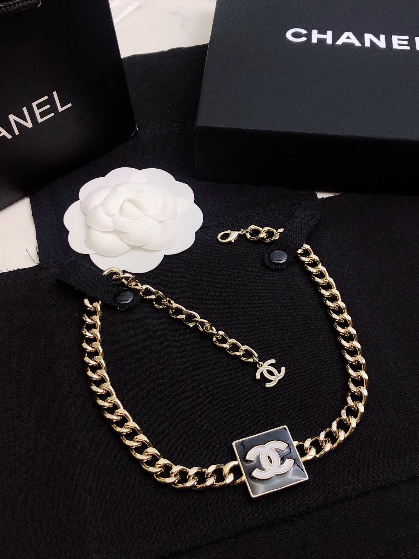 Chanel Necklace with CC Logo and Chain Design