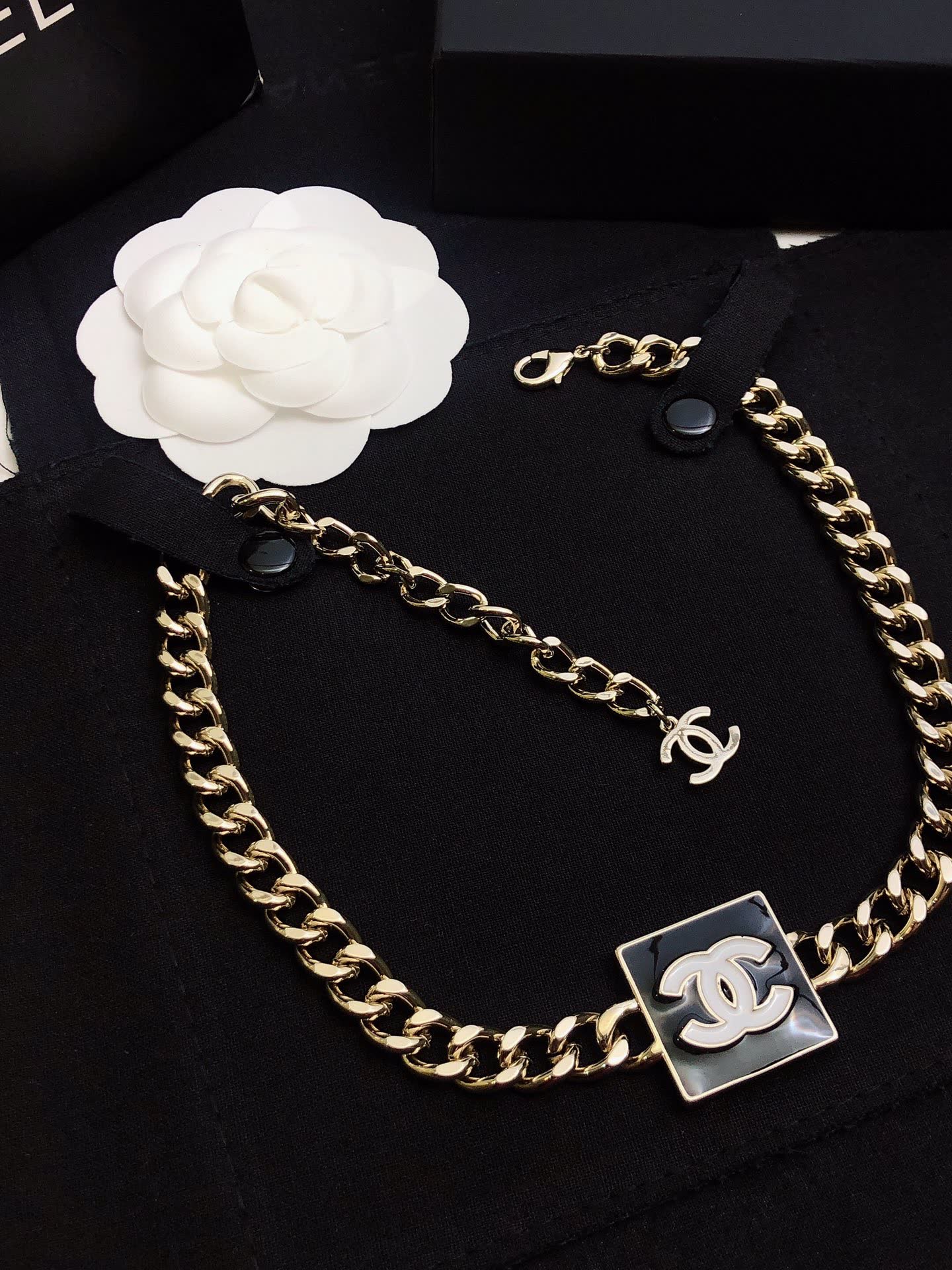 Chanel Necklace with CC Logo and Chain Design