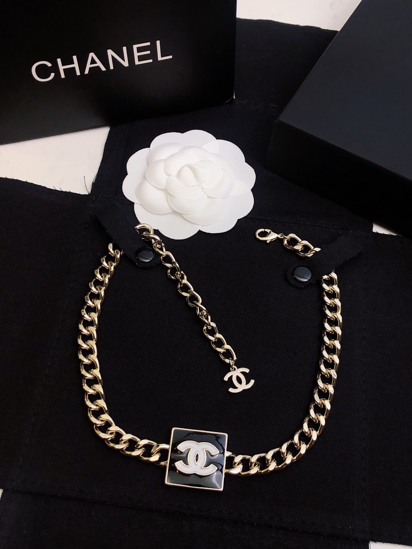 Chanel Necklace with CC Logo and Chain Design