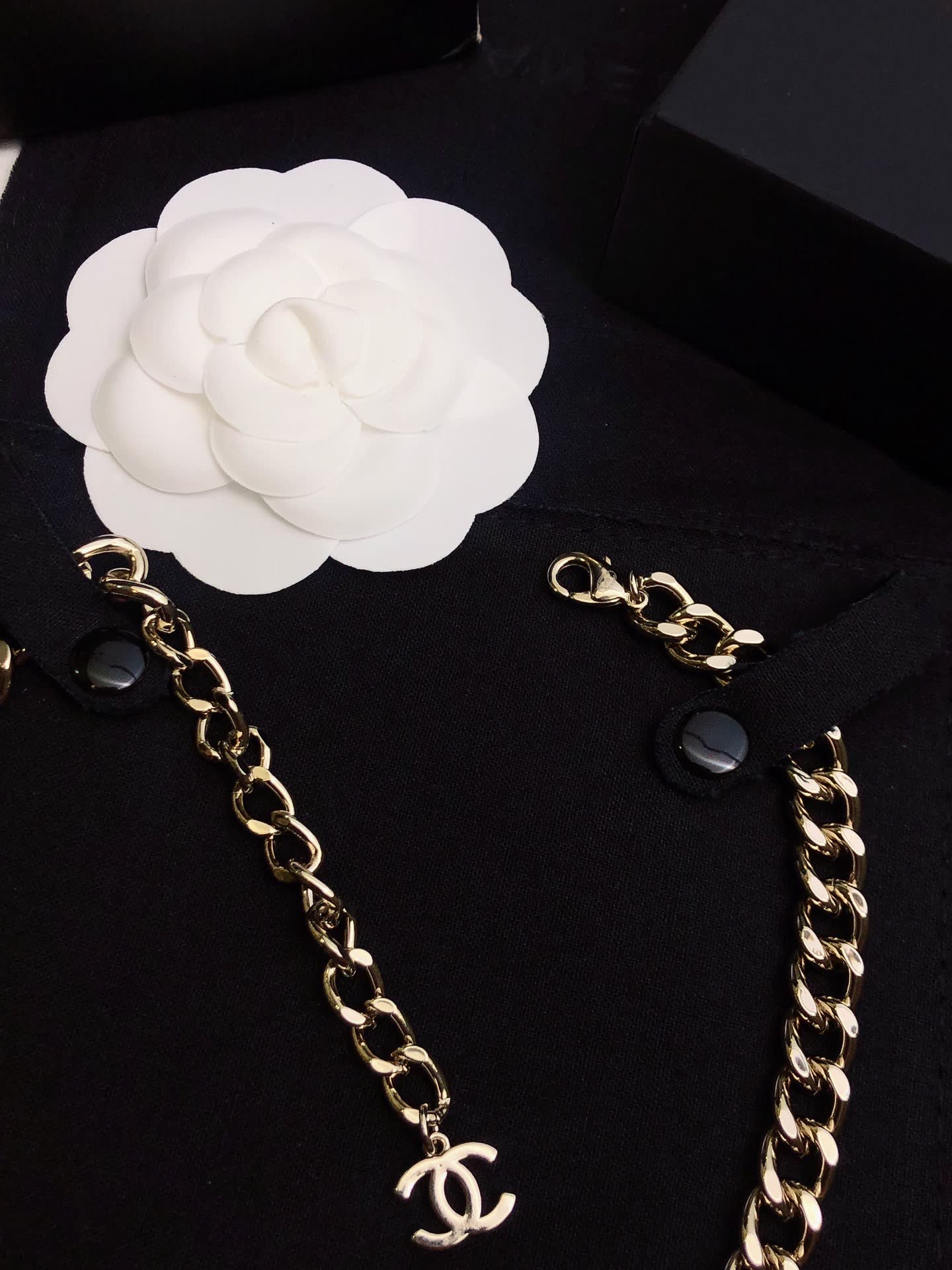Chanel Necklace with CC Logo and Chain Design
