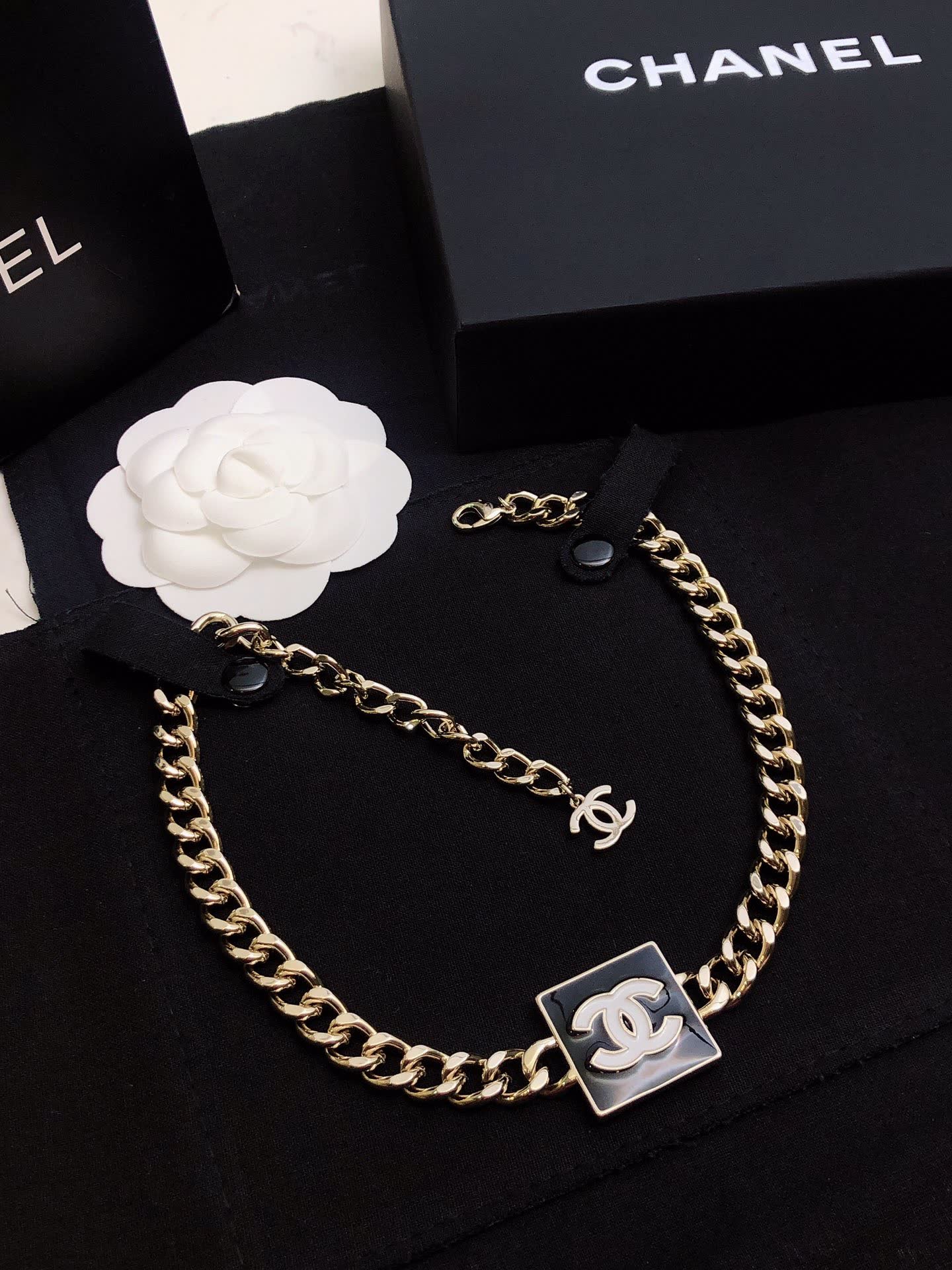 Chanel Necklace with CC Logo and Chain Design