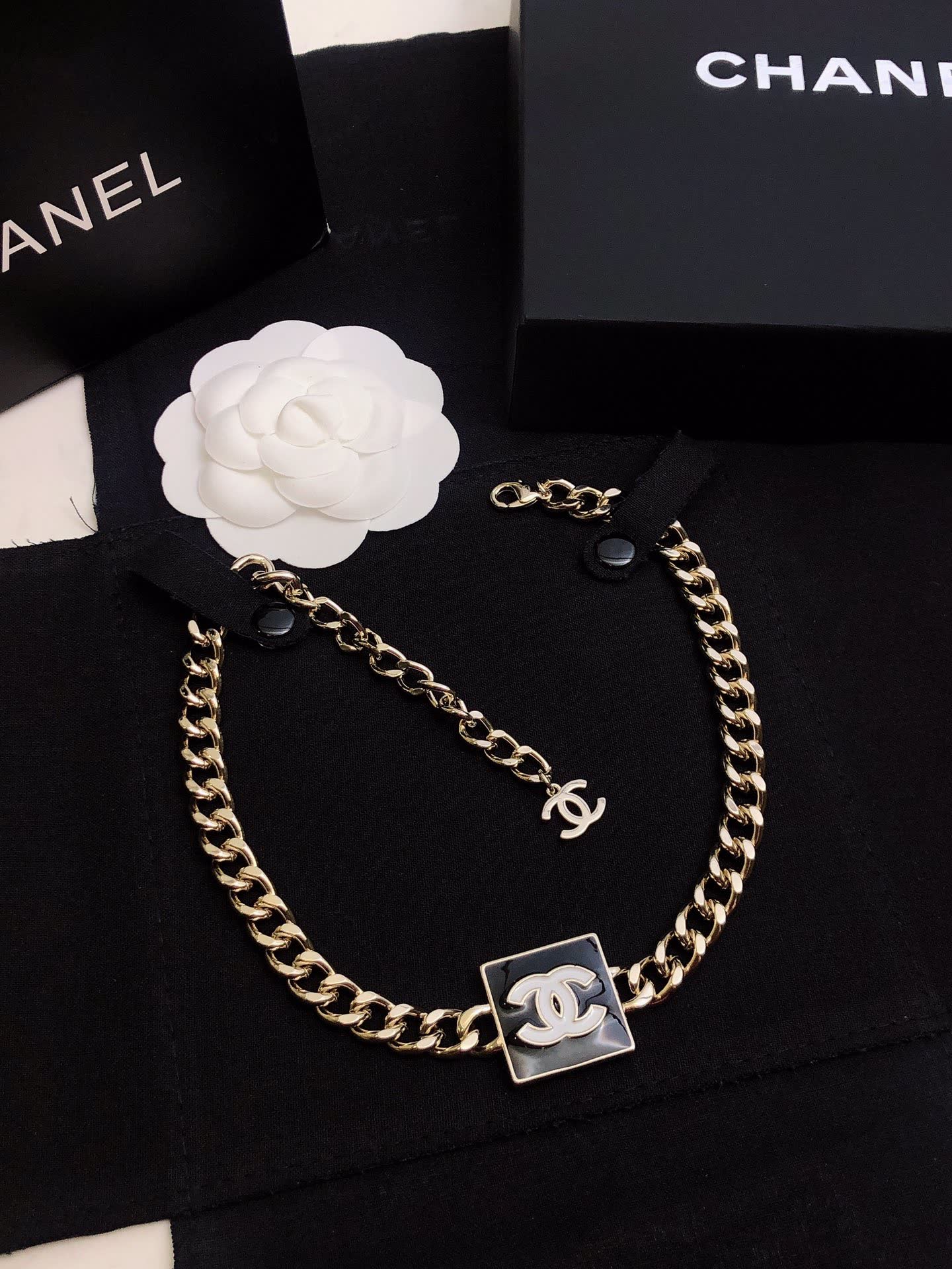 Chanel Necklace with CC Logo and Chain Design