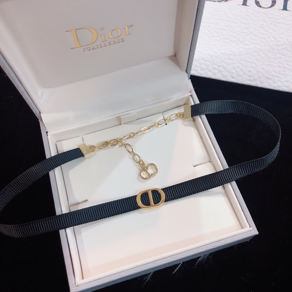 Dior Choker Necklace