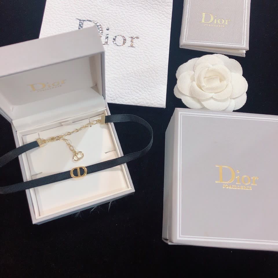 Dior Choker Necklace