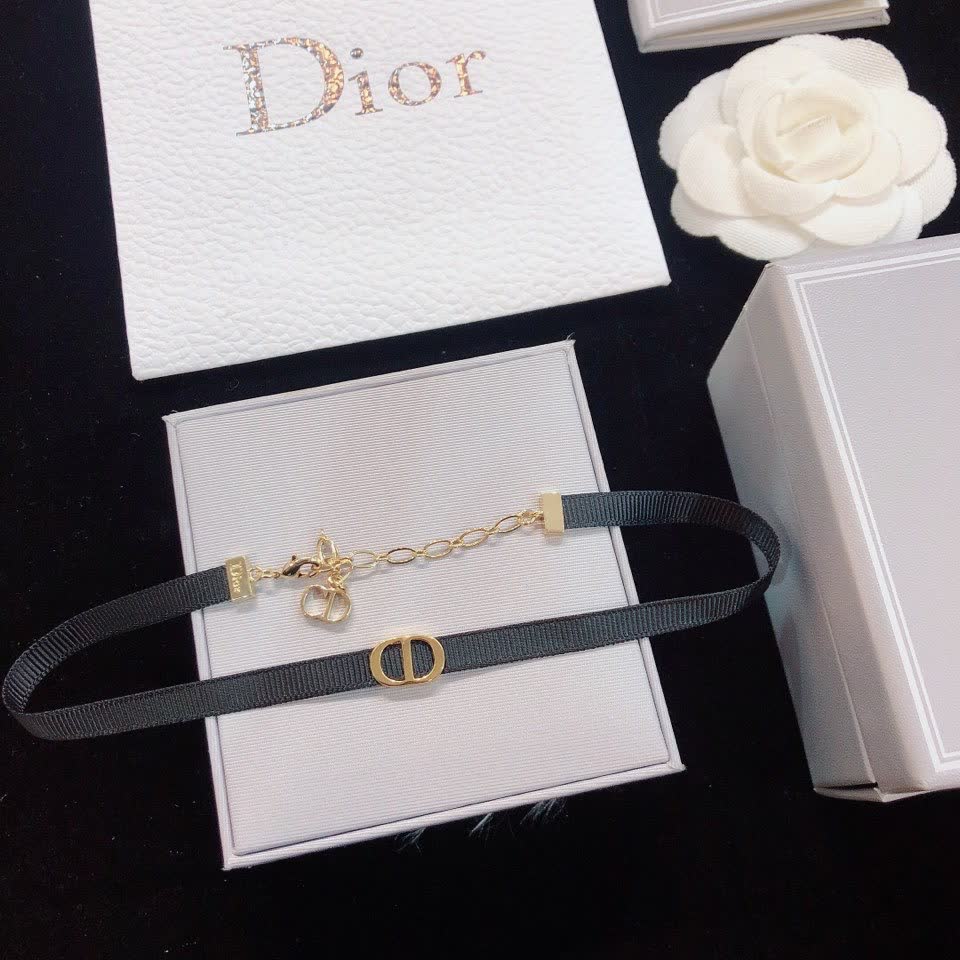 Dior Choker Necklace