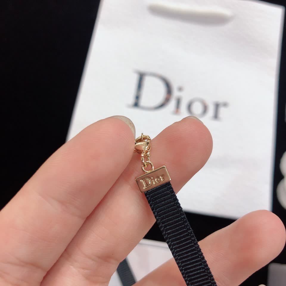 Dior Choker Necklace