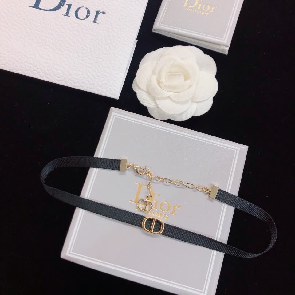 Dior Choker Necklace