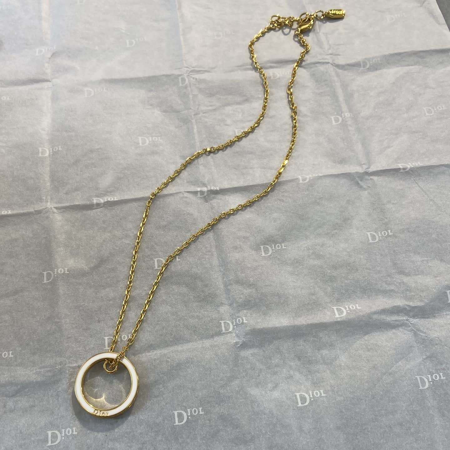 Dior Silver Ring Necklace-DX0135