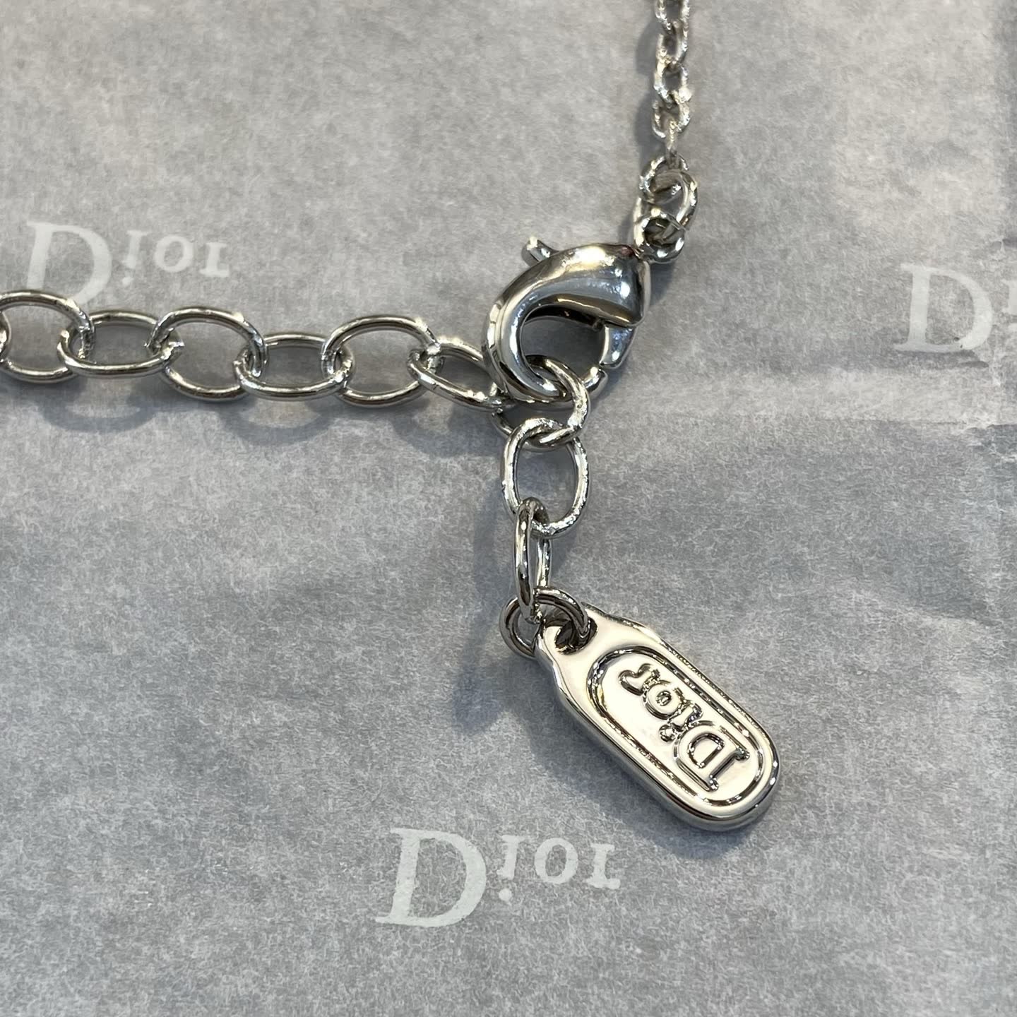 Dior Silver Ring Necklace-DX0135