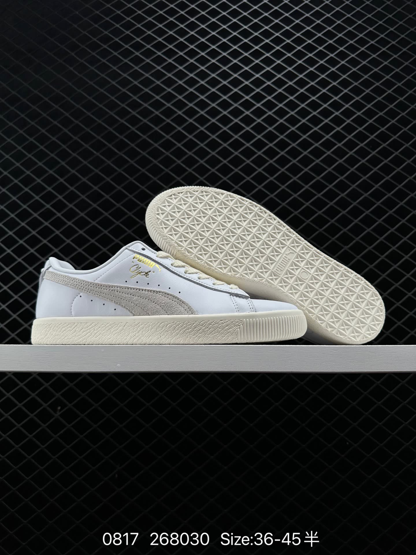 NOAH xPUMA Clyde