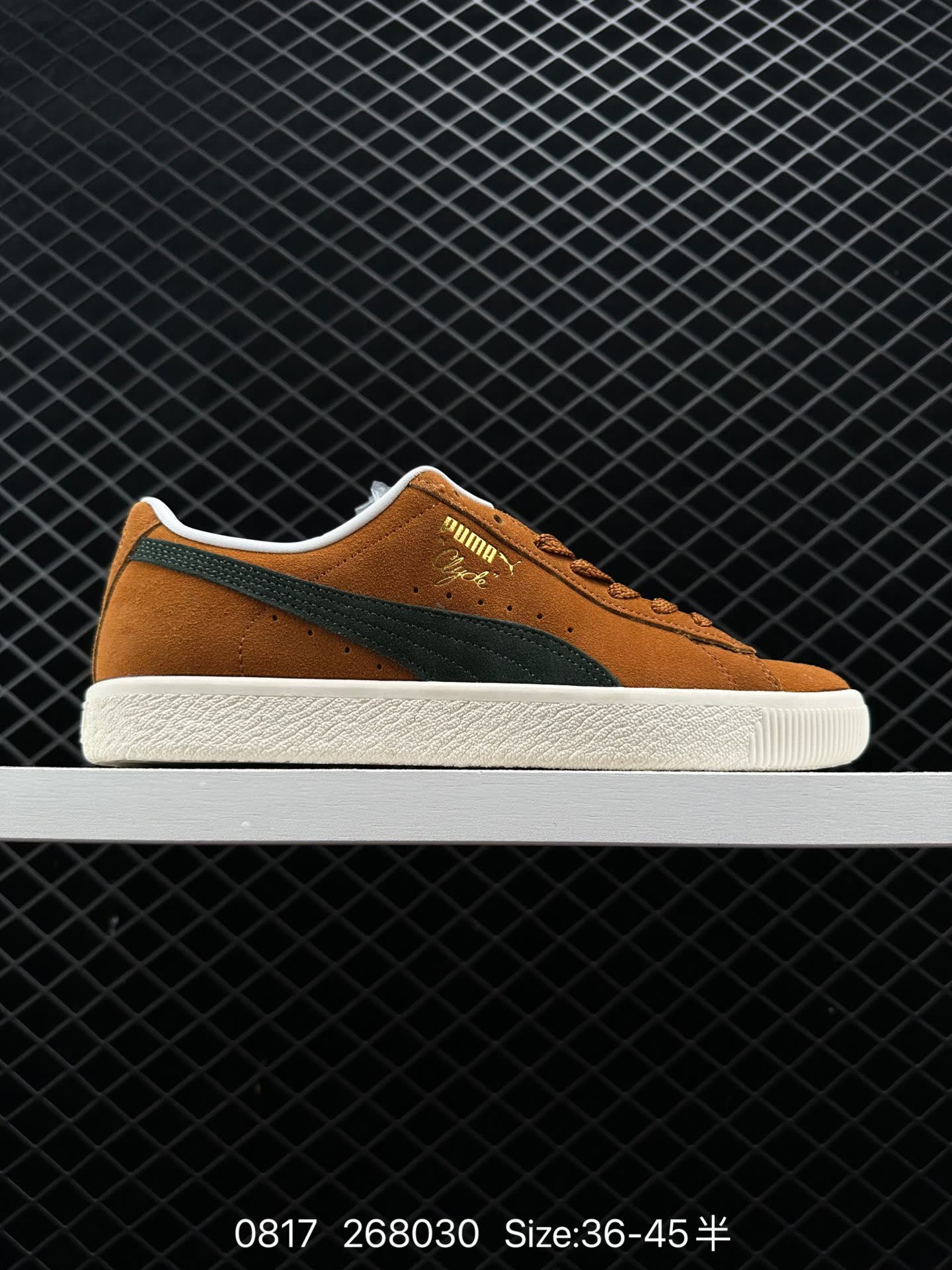 NOAH xPUMA Clyde