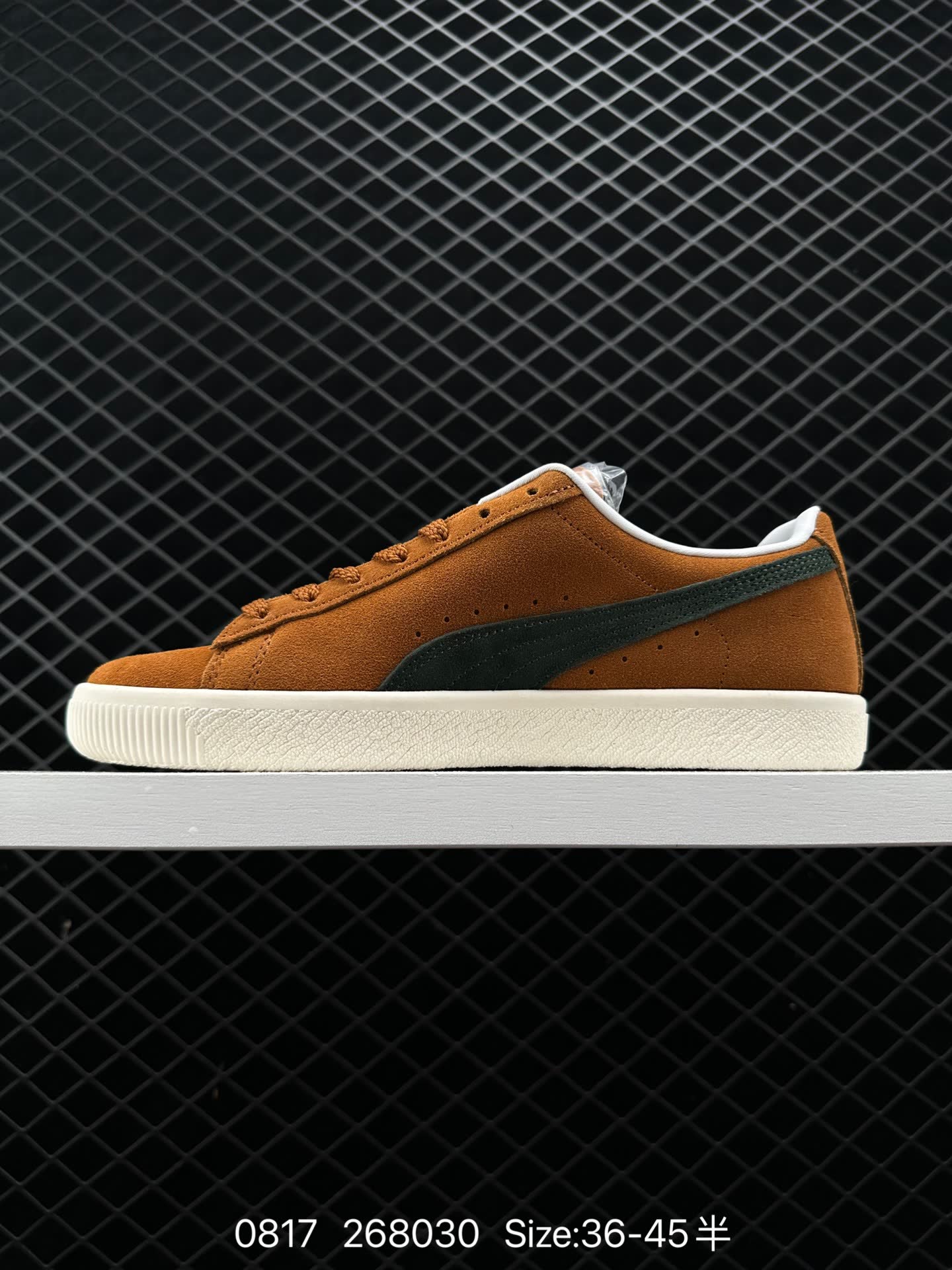 NOAH xPUMA Clyde