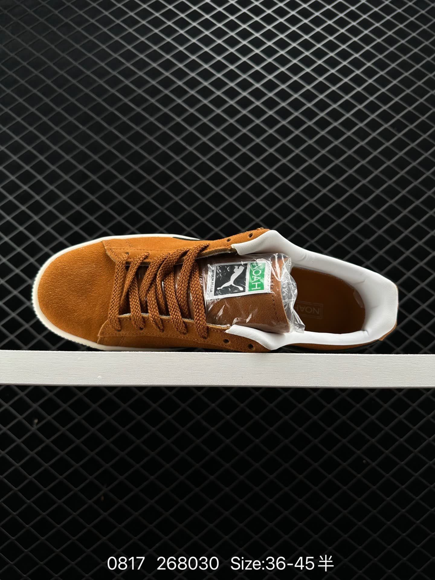 NOAH xPUMA Clyde