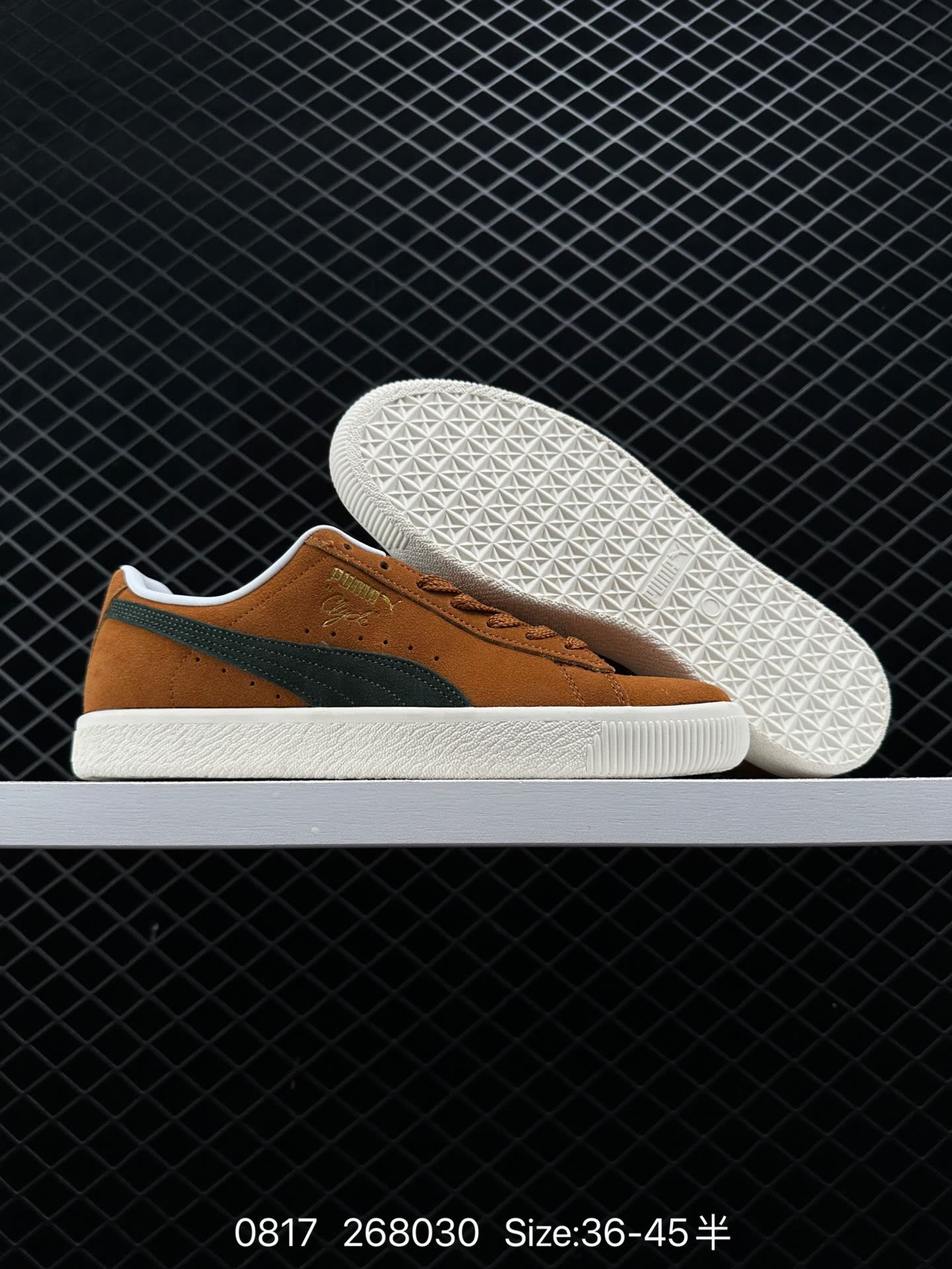NOAH xPUMA Clyde