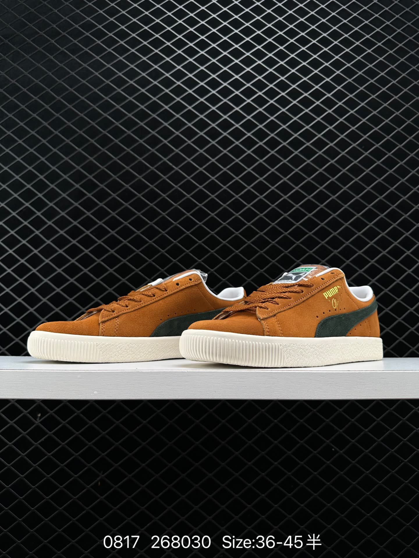 NOAH xPUMA Clyde