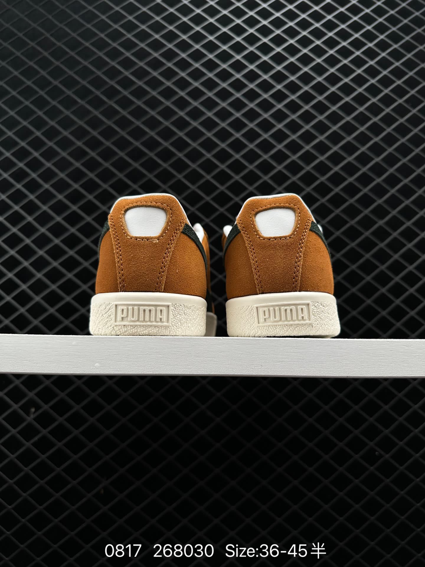 NOAH xPUMA Clyde