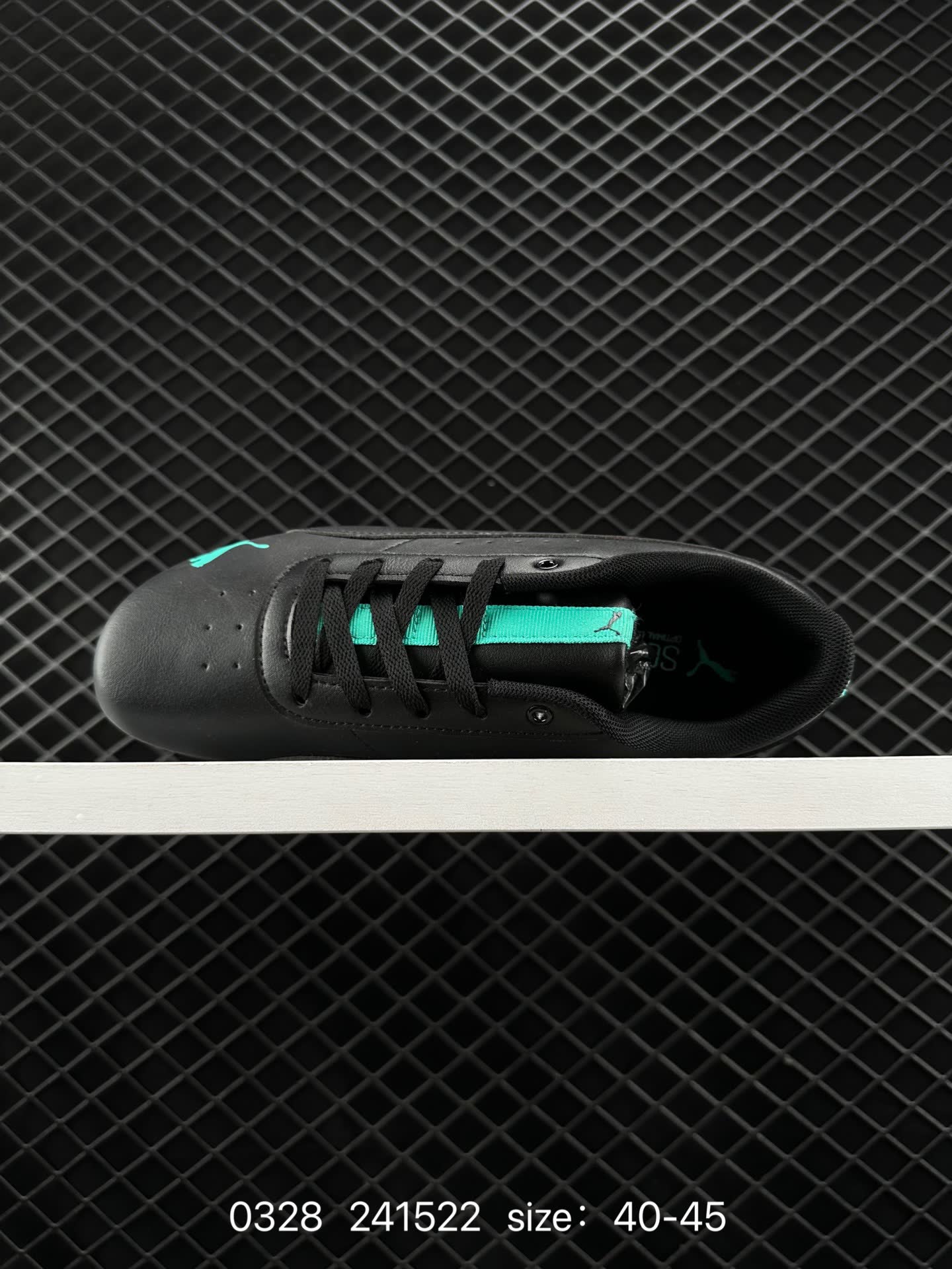 PUMA 2024