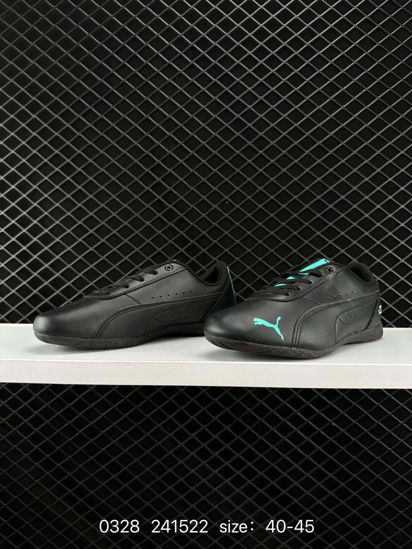 PUMA 2024